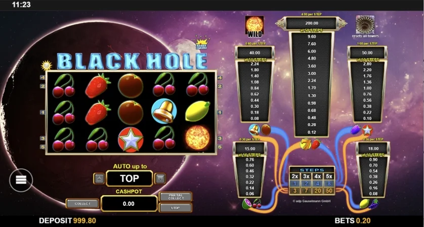 Black Hole